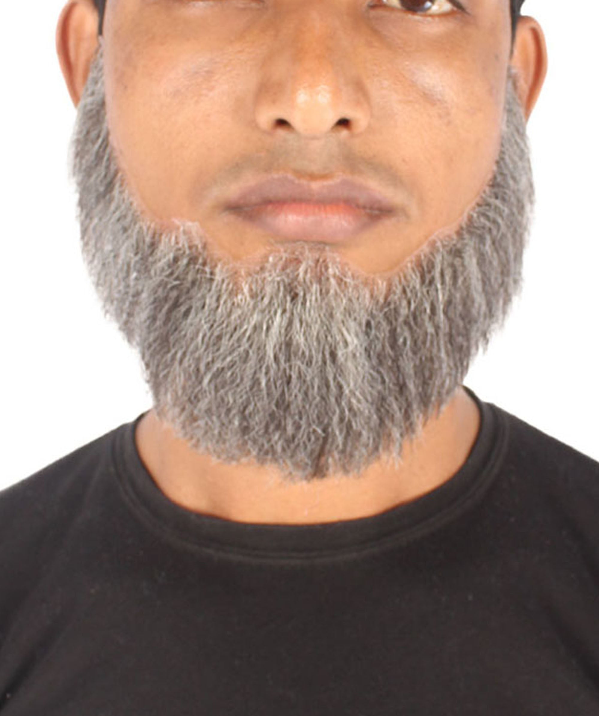 HPO Adult Men's Light Grey David Spade Synthetic Hair Full Beard Realistic Beard