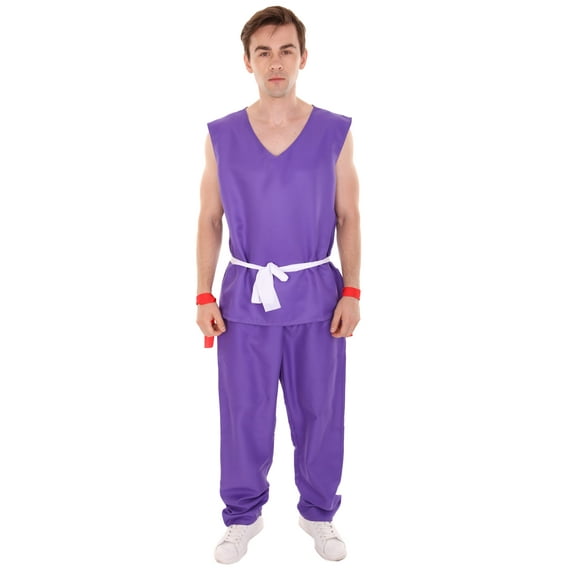 HPO Adult Men's Purple Costume – TV/Movie-Inspired Outfit for Halloween & Cosplay, Multiple Sizes