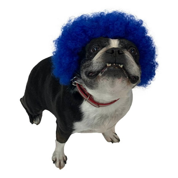 HPO Multiple Color Options Pet Curly Wig, Perfect for Pet Cosplay Wigs for Halloween, Fire-Retardant Halloween Wig