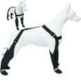 thumbnail image 1 of HPZZ 2025 New Dog Suspender Booties, Dog Paw Boot Leggings Anti-Slip, Canada Pooch Dog Shoes Waterproof, Adjustable Suspender Boots for Dogs Winter Snow Rain Hiking Paws Protector, 1 of 6