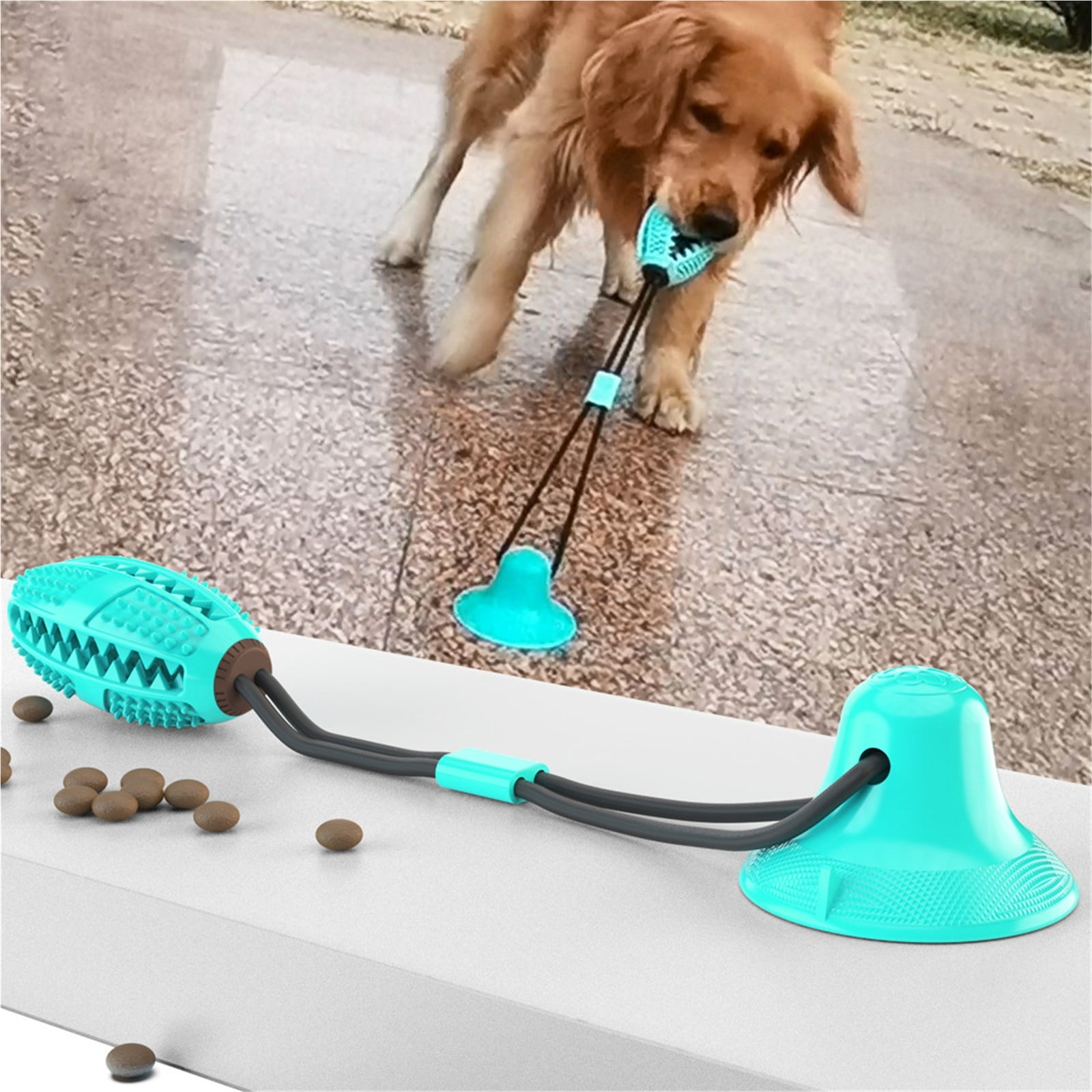 Suction Cup Dog Bowlnull