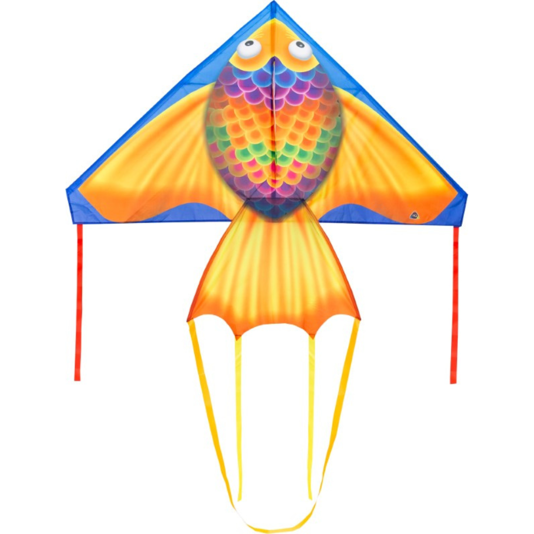 HQ Kites Rainbow Fish Delta Kite