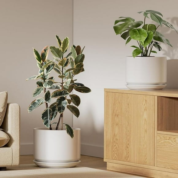HQI Ceramic Two-Piece Plant Pot Set, Durable and Stylish Indoor Plant Pot with Drainage Holes and Tray, Enhances Home Aesthetics