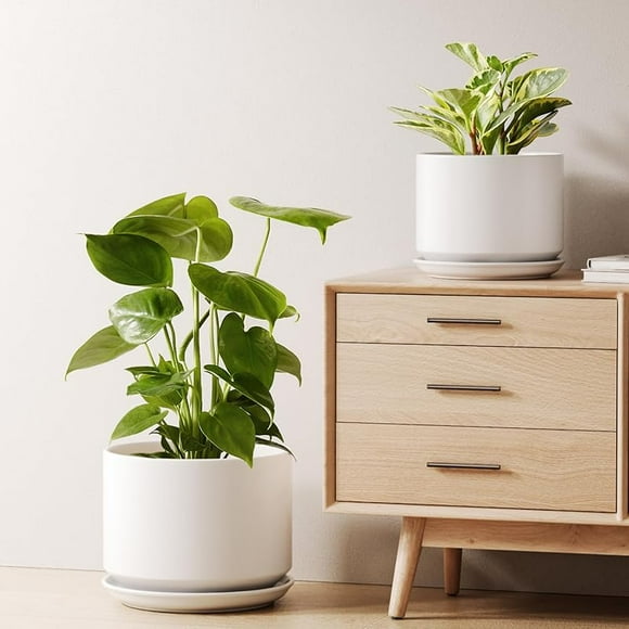 HQI Ceramic Two-Piece Plant Pot Set, Durable and Stylish Indoor Plant Pot with Drainage Holes and Tray, Enhances Home Aesthetics
