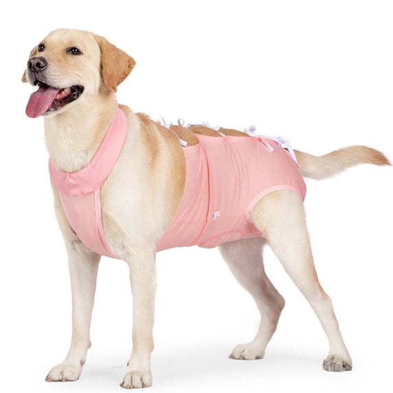 HQREA Breathable Dog Recovery Suit Female Male Dog Post-Operative Clothing for Neuter After Surgery Pet Protective Gown for Medium Large Dogs