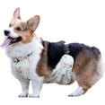 thumbnail image 1 of HQREA Cute Dog Belly Cover Waterproof Dogs BellyBand Comfy Pet Diaper Wrap for Outdoor, 1 of 6
