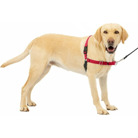 HQREA Easy Walk No-Pull Dog Harness Adjustable, Help Stop Pulling for Large Dog