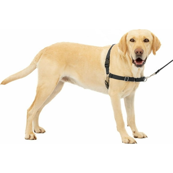 HQREA Easy Walk No-Pull Dog Harness Adjustable, Help Stop Pulling for Large Dog