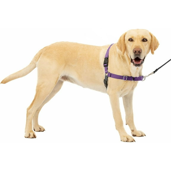 HQREA Easy Walk No-Pull Dog Harness Adjustable, Help Stop Pulling for Large Dog