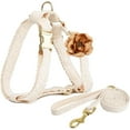 thumbnail image 1 of HQREA Embroidered Dog Harness and Leash Set, Easy Walk No Pull Dog Harness with Handle & Bow for Female Dogs, 1 of 6