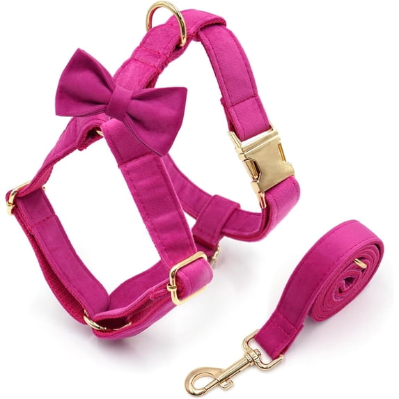 HQREA Female Dog Collar and Leash Set for Large Dogs Personalized Velvet Floral Pet Collar with Leash for Dogs