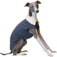 thumbnail image 1 of HQREA Greyhound Summer Cooling T-Shirt, Whippet Dog Sleeveless Polo Shirt for Hot Weather, 1 of 6