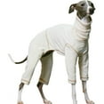 thumbnail image 1 of HQREA Italian Greyhound Clothes Onesie Thin Soft Turtleneck Whippet Dog Coat Jumpsuit, 1 of 6