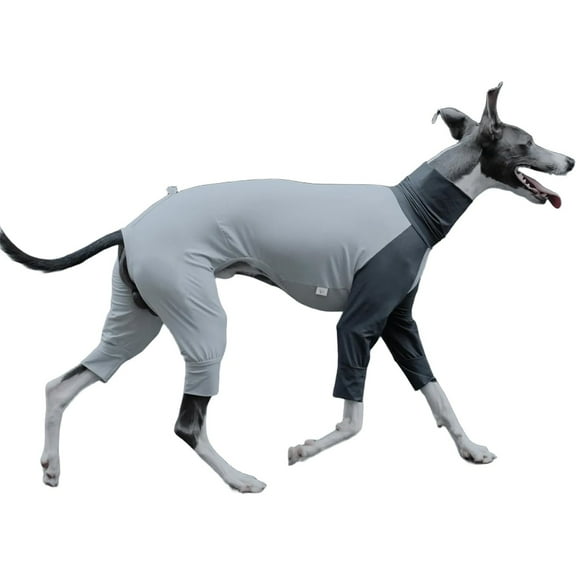 HQREA Italian Greyhound Four-Legged Clothes, Dog Cooling T-Shirt, Summer Pet Coat for Outdoor