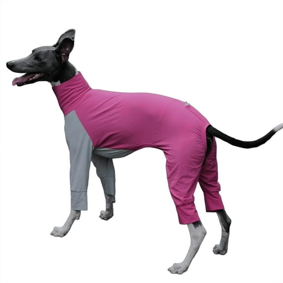 HQREA Italian Greyhound Four-Legged Clothes, Dog Cooling T-Shirt, Summer Pet Coat for Outdoor