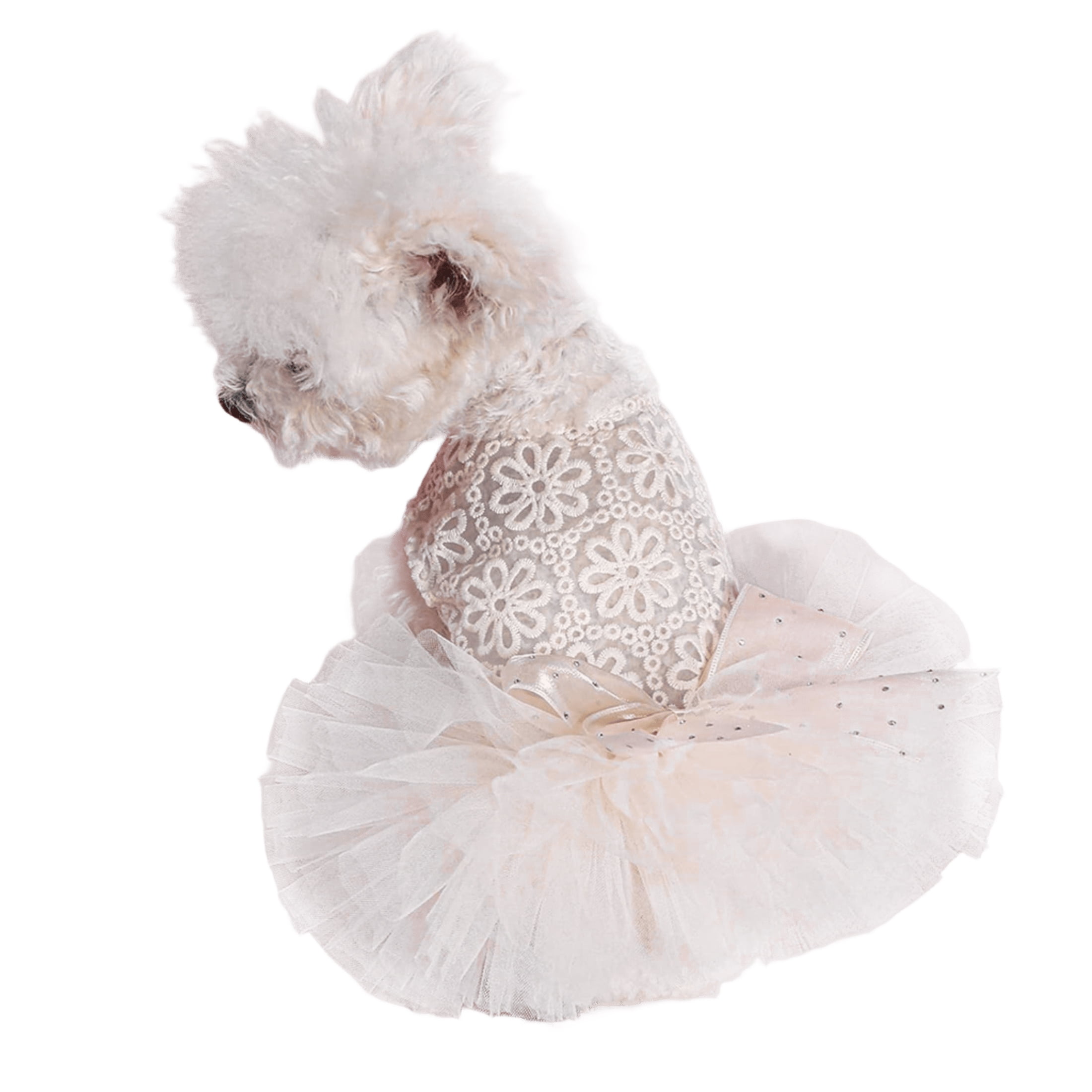 HQREA Sweet Dog Dress Girl White Doggy Princess Skirt with Bow Summer Puppy Clothes Lace Wedding Party Dress