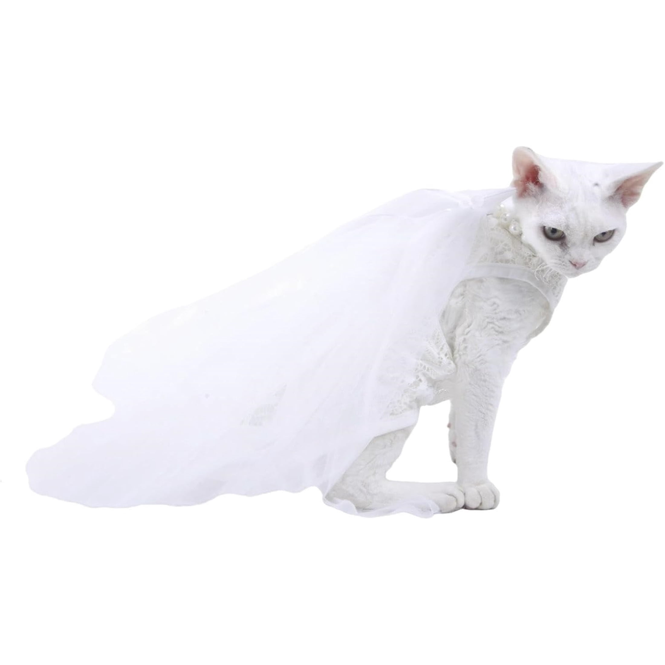 HQREA White Girl Dog Cat Wedding Bride Dress Outfit Luxury Lace Formal Apparel Female Puppy Birthday Princess Dress
