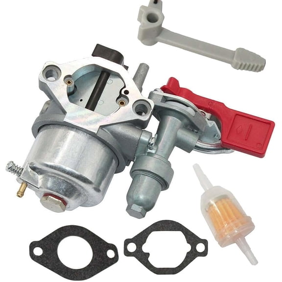 HQparts Carburetor for Vanguard Engine 84004885 799060 Carb & Fuel filter