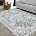 thumbnail image 1 of HR Area Rug 8x10 Traditional Rug Gray Vintage Floor Mat Thin and Soft Rug Floral Print Carpet Foldable Accent Rug Dining Room Living Room Faded Rug for Bedroom, 8x 10 Gray, Silver, Multi Color, 1 of 6