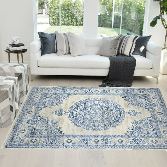 HR Traditional Rug for Living Room Antiqued Oriental Light Blue & SilverArea Rug 5x7 Boho Dcor Rugs for Bedroom