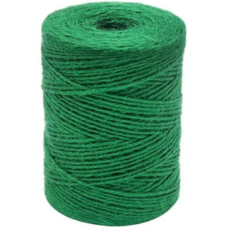 https://i5.walmartimages.com/seo/HRX-Garden-Twine-656-Feet-2mm-Jute-Twine-Tying-String-for-Climbing-Plants-Tomatoes-Crafts-Gift-Wrapping-and-Holiday-Decorations-Green_5b87347e-e5d4-4d1c-b99d-7a6e04664366.c460def0a7f23dbcc605f52a7ef5d15f.jpeg?odnHeight=320&odnWidth=320&odnBg=FFFFFF