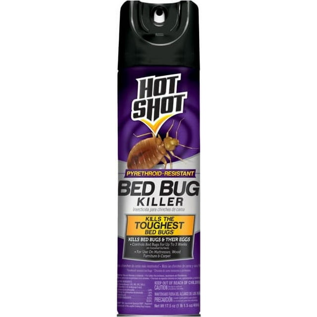 HS BED BUG KILLER AEROSOL