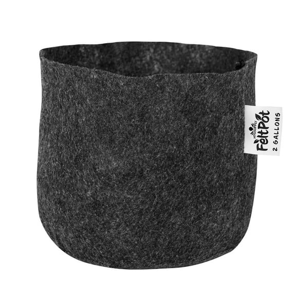 HTG Supply Disposable FeltPots Indoor/Outdoor 2 Gallon Aeration Black Fabric Grow Bags for Plants