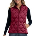 thumbnail image 1 of HTNBO Puffer Vest Women Fall Quilted Jacket Zip-Up Sleeveless Outwear Vests Lightweight Stand Collar Coats With Pocket, 1 of 8