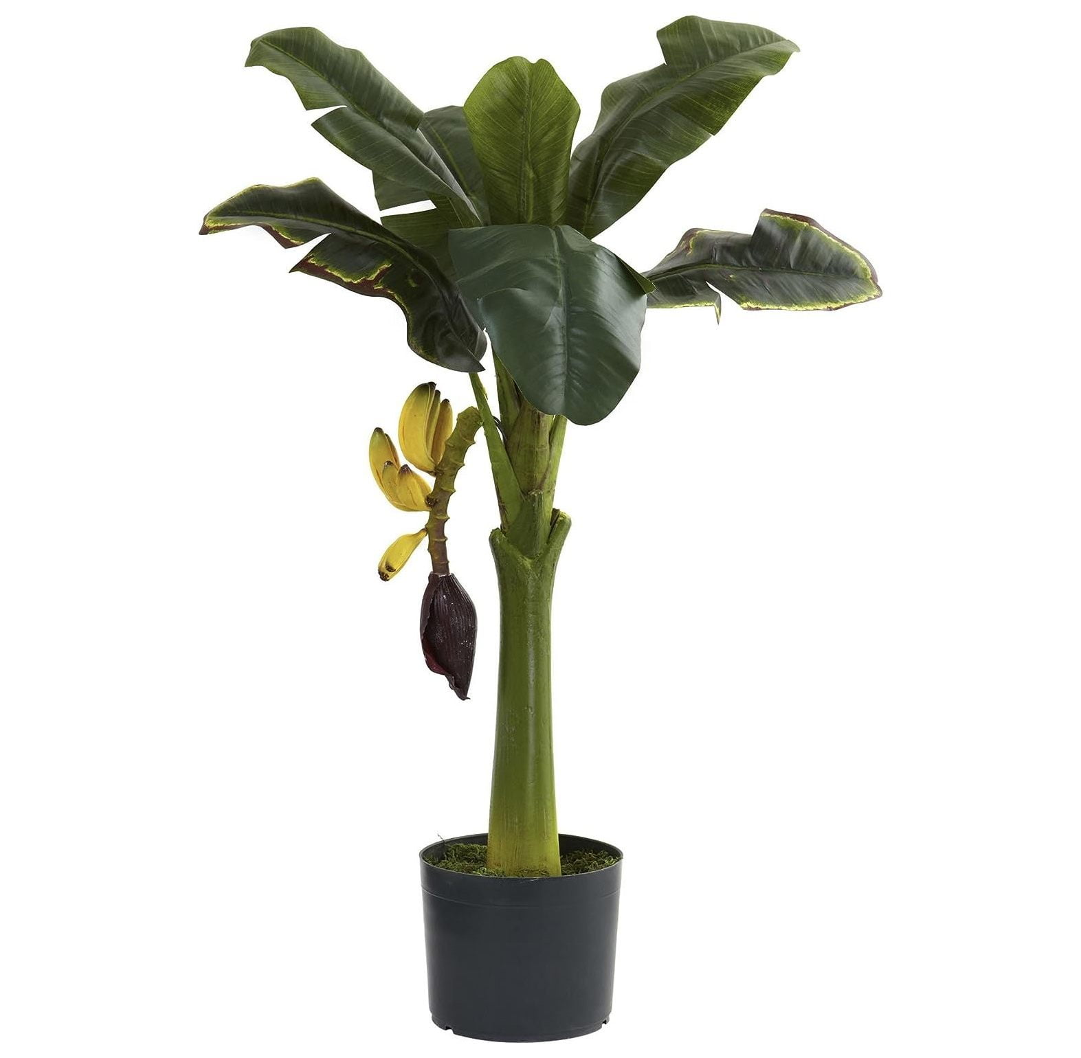 Lush Green 37" Faux Banana Tree in Silk and Plastic Pot