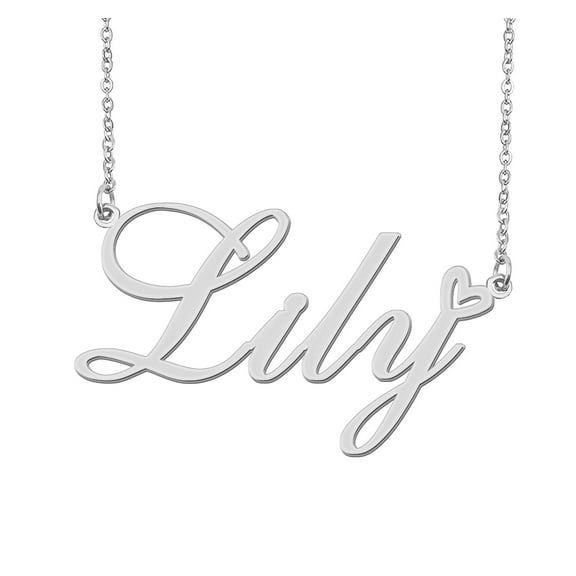 HUAN XUN Silver Lily Name Necklace Stainless Steel Heart Nameplate Pendant Necklace Jewelry for Womens Moms