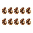 thumbnail image 1 of HUANLEDASH 10Pcs Scattered Beads Handmade Conch Shape Seashell Beads Ceramic Summer Beads for Jewelry Making Bracelets Crafts, 1 of 1