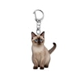 thumbnail image 1 of HUANLEDASH Cartoon Cat Shape Keychain 2D Acrylic Cat Charm Keyring Keys Parties Versatile Keychain Bag Charm Accessory, 1 of 1