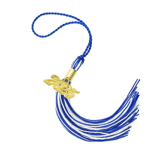 HUANLEDASH Graduation Hat Tassel with 2025 Year Charm Multi Colors Available Color-Blocking Style 40cm Length Cap Hornor Tassel for School Graduation Season