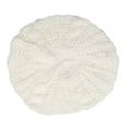thumbnail image 1 of HUANLEDASH Women Fall Winter Hat Knitted Bonnet Solid Color Elastic Twisted Texture Keep Warm Beret Photo Prop Cap for Outdoor Activities Travel Cycling, 1 of 1