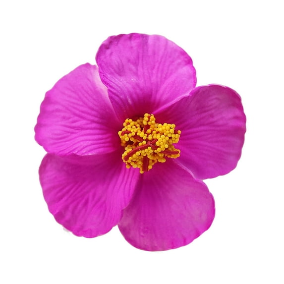 HUANLEDASH Women Hair Clip Imitation Flower Shape Summer Decorative Hair Pin EVA Material Colorful Hair Accessories