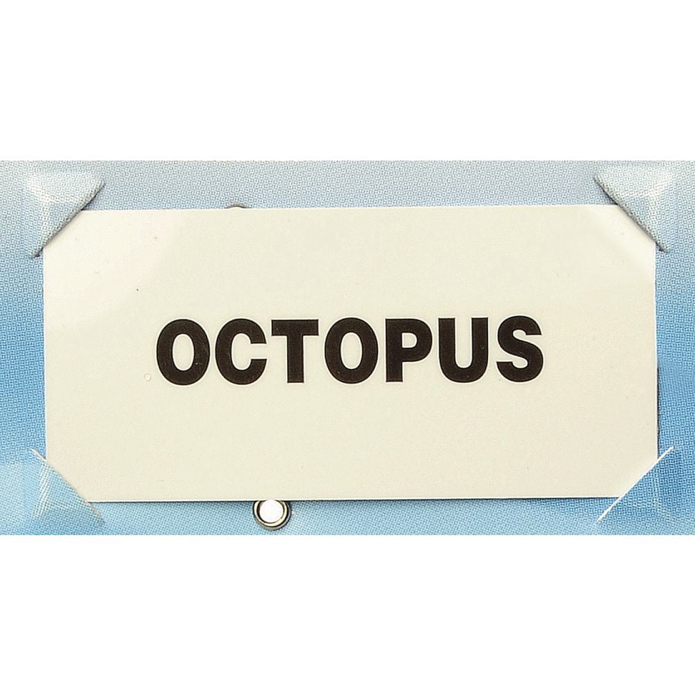 HUBERT Seafood Name Insert Set for Price Tags White Plastic - 2 1/2"L x 1 3/16"H