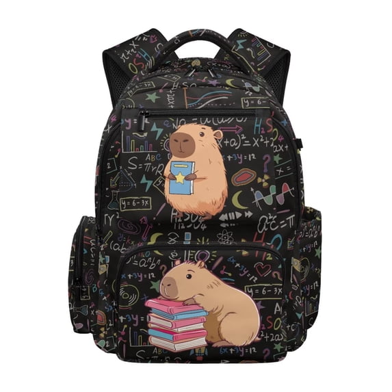 HUIACONG Capybara Study Backpack for Teens 12-18, Stylish Math Formula Print 17 Inch School Bag, Durable Lightweight Water Resistant Backpack for High School