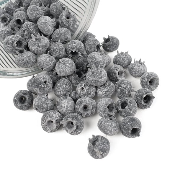 HUIANER Artificial Blueberries, 60PCS Frosted PVC Fake Fruit for Fruit Bowls, Kitchen Display, Photography Props and Home Decor