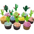 thumbnail image 1 of HUIANER Prickly Cactus Party - Dessert Cupcake Toppers - Fiesta Party or Fiesta Birthday Party Clear Treat Picks - Set of 24, 1 of 6