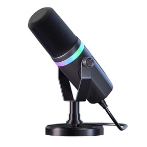 HUISZJ Competitive Microphone, Dynamic Computer Microphone PC Computer Gaming, Dynamic Gaming Microphone for Studio Recording