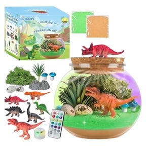 HUISZJ Mermaid Terrarium Craft Kit, Landscape Ambient Light Kit with Remote Control, Creative Educational Interactive Toy for Party Birthday Friend Gifts (B)