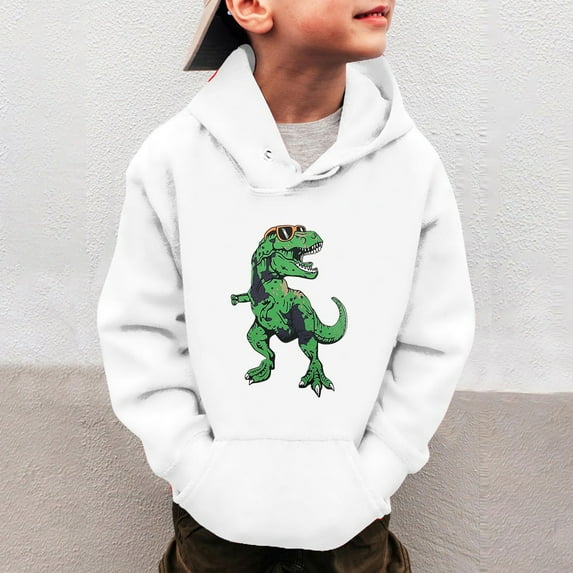 HUITKMM Hoodie Kids Little Boys Girls Dinosaur Sweatshirts Long Sleeve Hooded Pullover Toddler Kids Winter Warm Shirt Sweater Tops 3 14Years