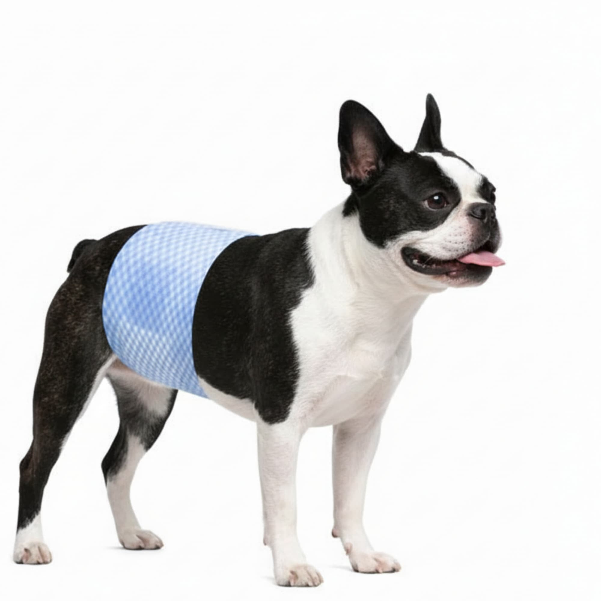 HUJHKIO Disposable Male Dog Diapers for Belly Bands – Leakproof Super Absorbent with Wetness Indicator, Adjustable Fit for Small Medium Large Dogs Waist 6.3-26.4 Inches, 10 Count