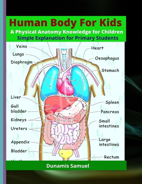 human diagram for kids