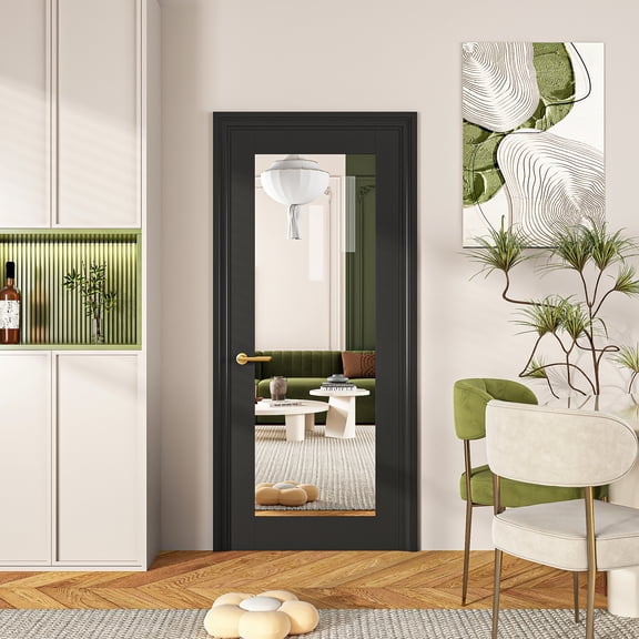 HUMEHA 32"x80" 1-Lite Mirror Black French Door Solid Core Primed
