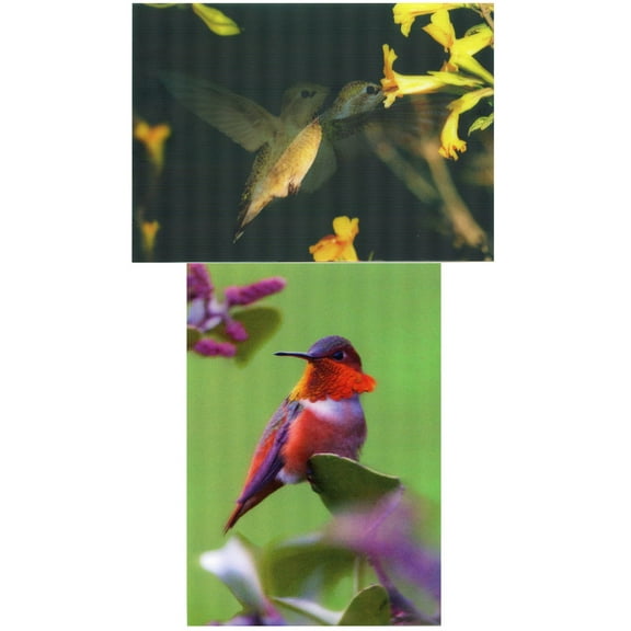 HUMMINGBIRDS - Motion and 3D Lenticular Postcard Greeting Cards - 2 different pictures