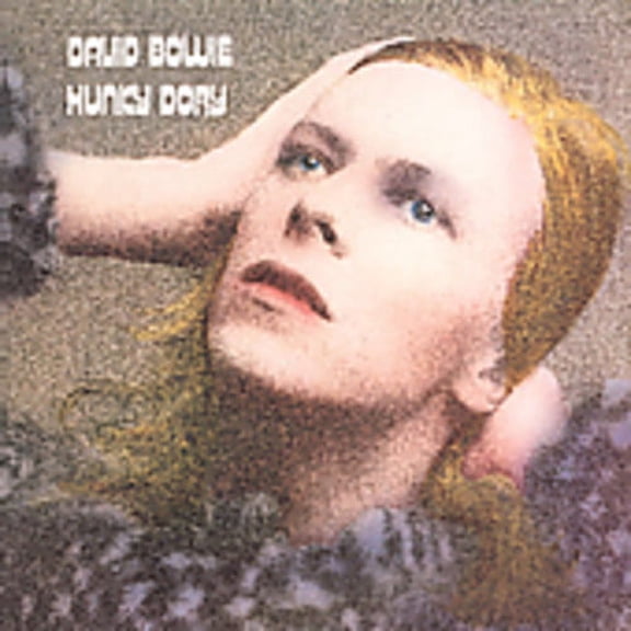 HUNKY DORY [REMASTER]