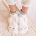 thumbnail image 1 of HUPOM 1 Pair Socks for Women's Plus Summer Clearance Fashion Ankle Soft Novelty Socks White, 1 of 4