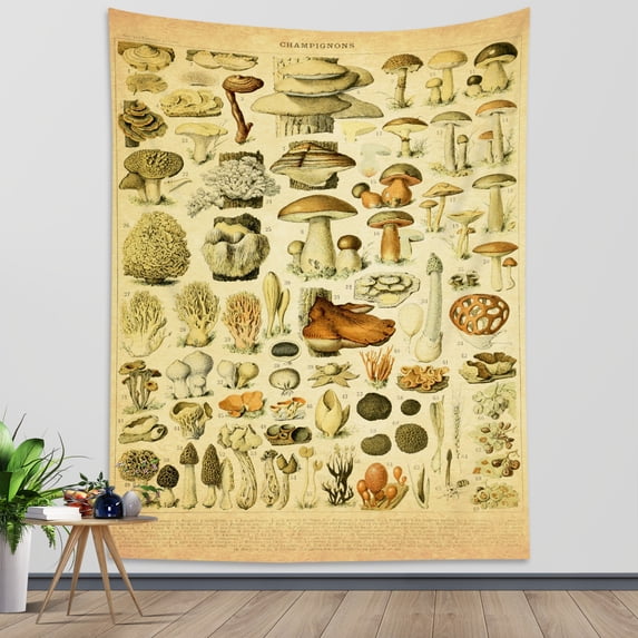 HVEST Mushroom Tapestry Various Vintage Fungus Printing Tapestry Wall Hanging Illustration Reference Chart Poster Vertical Tapestries for Living Room Bedroom Dorm Office Home Wall Art Decor 60x80 Inch