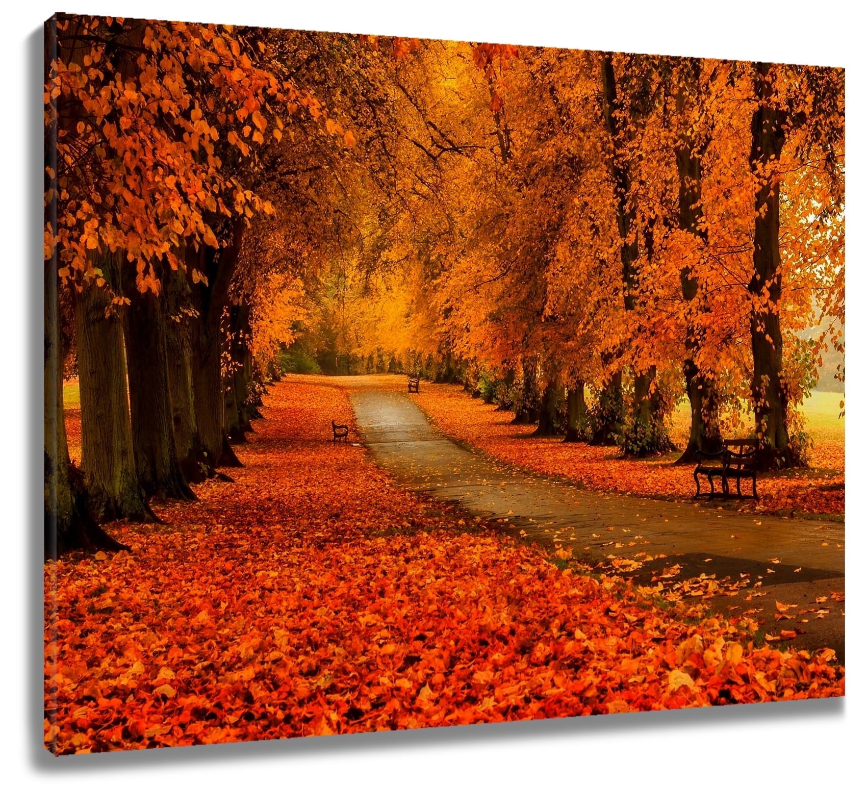 North Bend Trees By Aaron Reed - Wall Art - Orange main image 0
